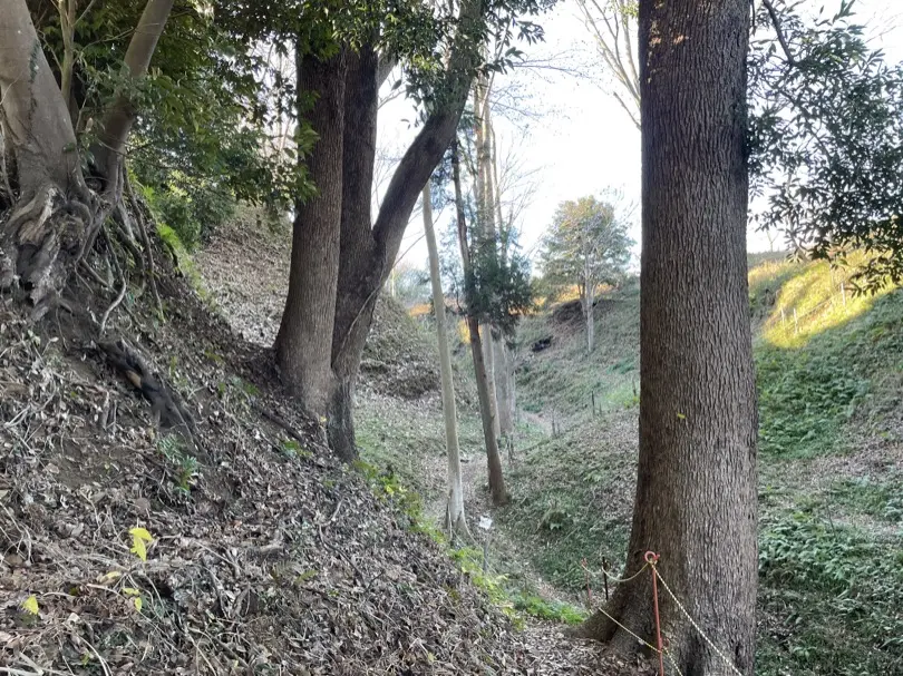 IMG_5902.JPG (8.0 MB)