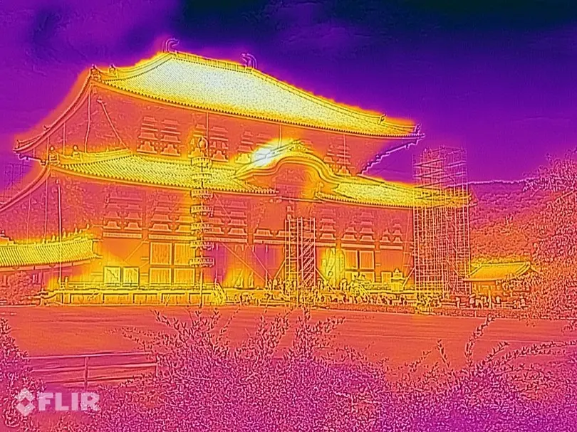todaiji2.jpg (644.1 kB)