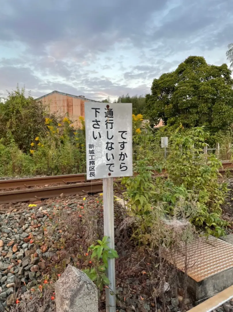 desukara.jpg (586.7 kB)